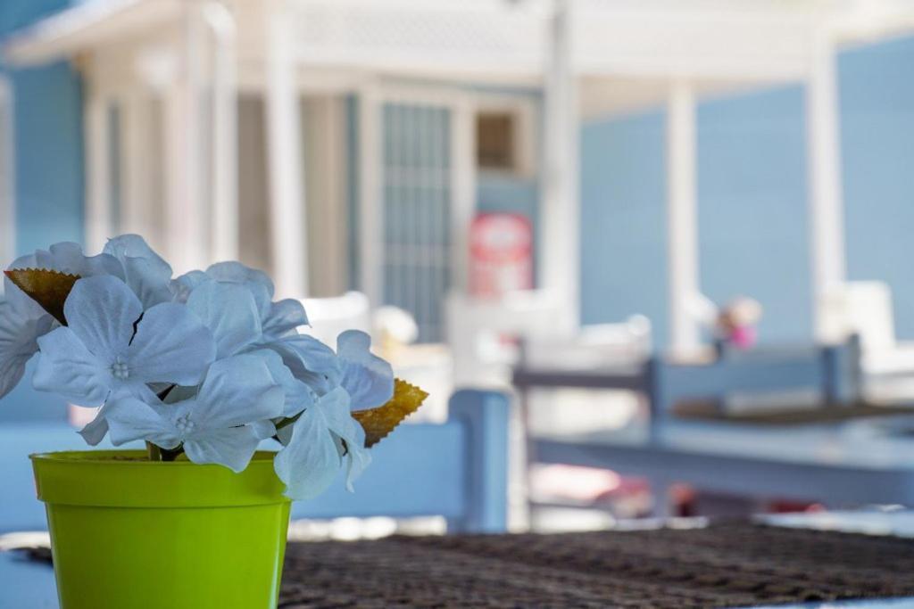 Minerva Port Hotel Çeşme Buitenkant foto